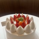 케세뜨(Caissette)