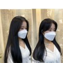 샤프롱헤어