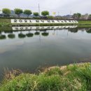 초밥식당윤원 | 쓰기 /상림공원/메뚜기나무/초밥정식당/초량단골집/초밥식당윤원/사하라핑크후기/염색전후/도살견/하림공원