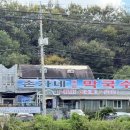 손가네메밀막국수