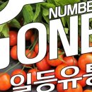 일등유통