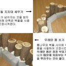 월산초교 유치원 이미지