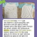 박사 세탁 이미지