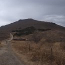 들국화목장 이미지