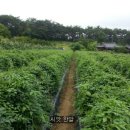 대형슈퍼 - 공주시 | 대형슈퍼