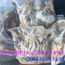 에바다호 이미지