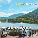 인천대공원(자전거광장) | 인천대공원 자전거 대여 단풍지는 가을맞이 소풍