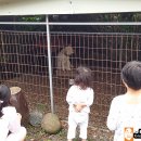 제주 필 하우스 이미지