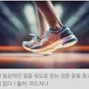 빨리 걷기 VS 걷기, 얼마나 큰 차이가 있을까? 이미지