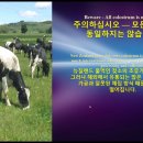 라이프라인 이미지