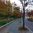 아차산로 이미지