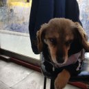 일월세차장 이미지