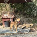 가산초등학교 | 서울근교카페 경기도 이천 한옥카페 '희원'