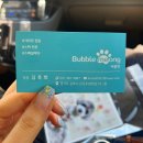 버블멍 | 김포애견미용 &#39;버블멍&#39; 강아지 가위컷,스파 후기
