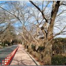 은파호수공원 9-9 이미지