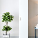 서진우드 이미지