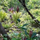 소양강둘레길 1코스 이미지