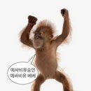 혼키라멘 이미지