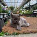 성지농원 이미지