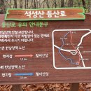 용인 효자병원
