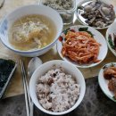 모자백반 이미지