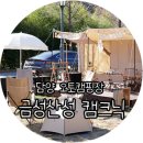 금성애견 이미지