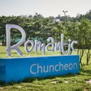 황금비늘 테마거리 이미지