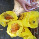 여성회관뒤 이미지