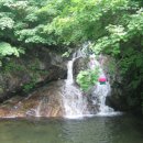 부평길주 Daum카페