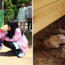 원광대학교 보건보완의학대학원 이미지