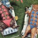 센스쟁이 이미지