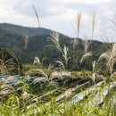 구미캠핑장 이미지