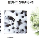 신기화학공업(주)