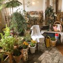 맘인더가든 이미지