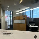 [🇦🇺호주 워홀]+1주차/커먼웰스 계좌개설/브리즈번...뱅크 인공해변/로네 파인 코알라 동물원/호주 미용...