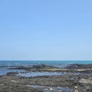 명진정보 | 제주 명진전복 전복돌솥밥 후기 가격, 주차, 정기휴일 정보