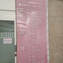 피보약국 | [강남차/시험관] 난자채취 ~ 5일배양 신선 이식까지 통증 및 증상 정리