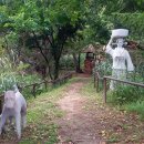 황부자 며느리 친정가는 둘레길 이미지