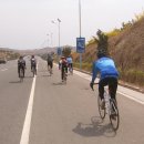 복숭아꽃살구꽃 이미지