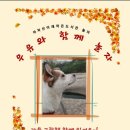 도서관에서 놀자(친구, 친구, 책 친구) 이미지