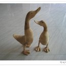 영월아프리카미술박물관 이미지