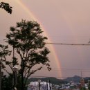 무지개 동산 이미지