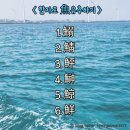 고등어청 이미지