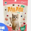 덴탈링크 이미지