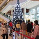 (주)레드모바일 이미지