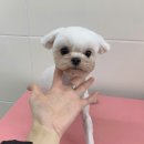 러브몽먼트 이미지