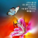 세탁잘하는집 이미지