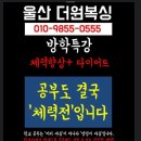 옥동복싱체육관 이미지