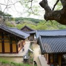 하도양지민박 | 경북 안동 가볼만한곳 | 소박하지만 편안한 걷기여행길 '봉정사-개목사 산사탐방로'