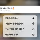 라비타돌체 이미지